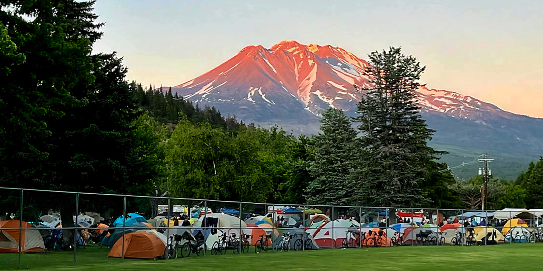 Camp Weed Shasta