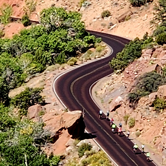 Zion Curves