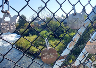 Bridge fence medallions