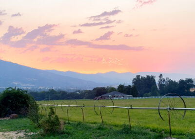 oregon pasture sunset