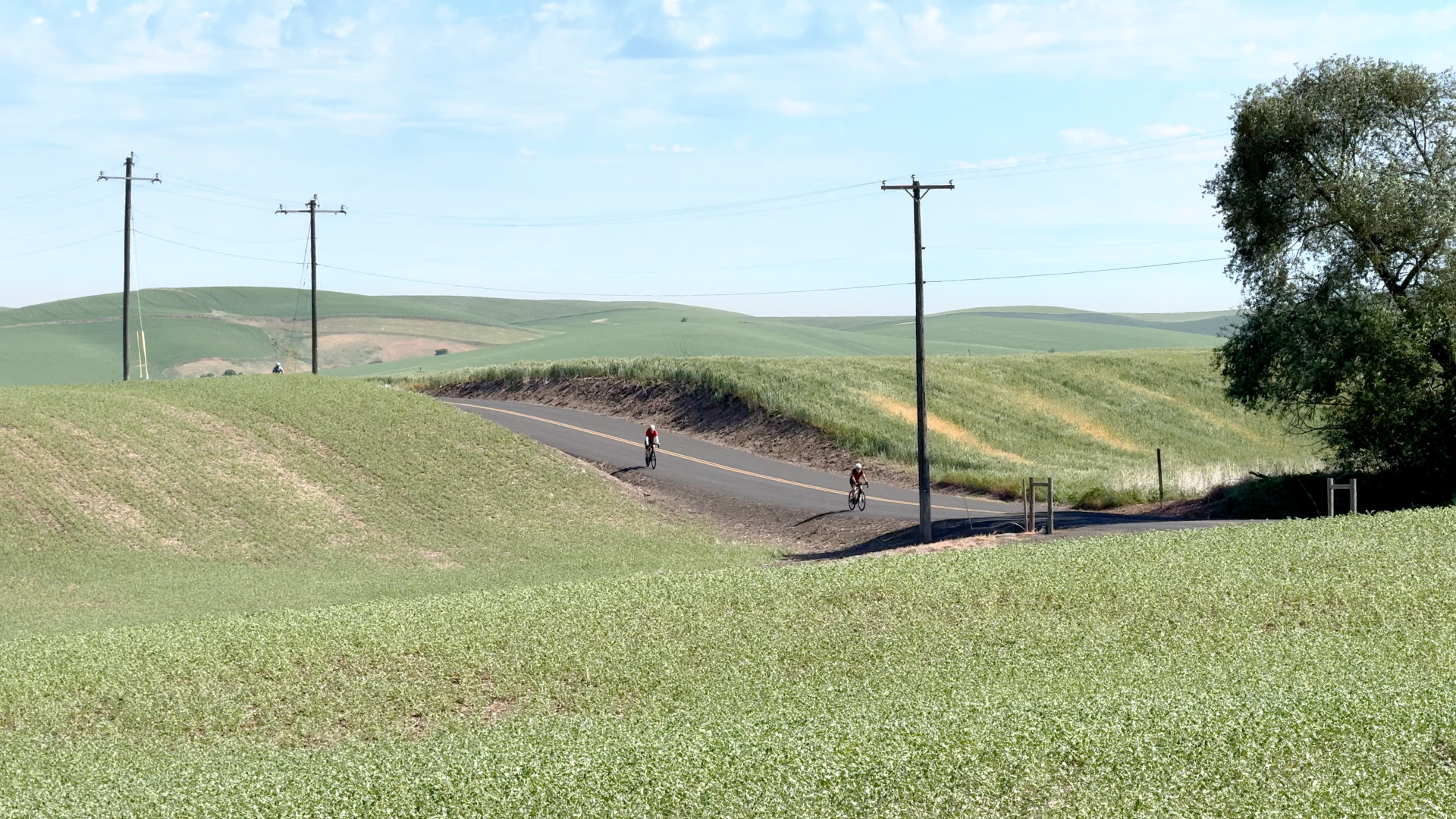 Bicycle Rides Northwest